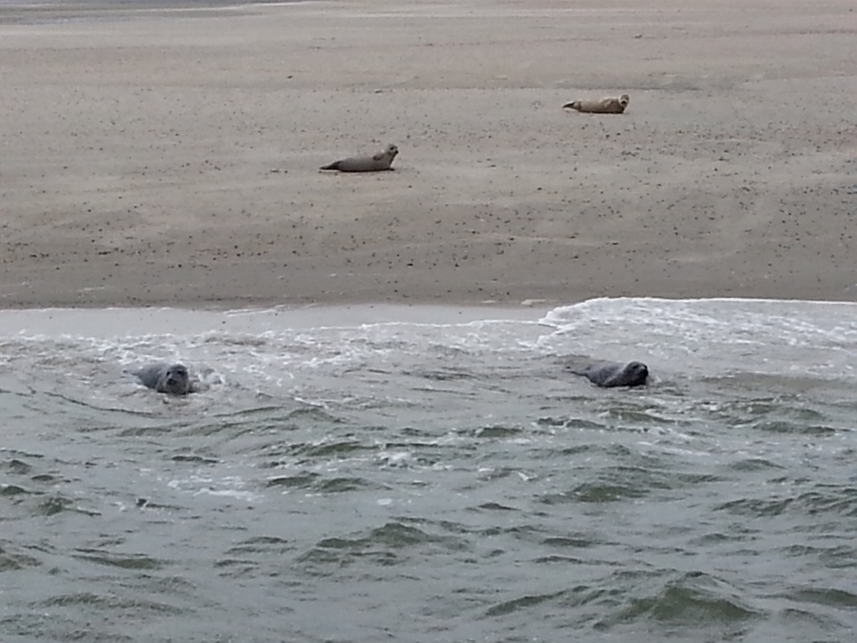 HWK Texel 125.jpg